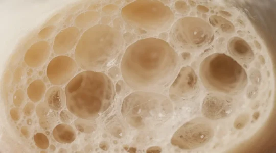 Gros plan sur la texture alvéolée d'une pâte à pizza après 48h de maturation, montrant la structure aérienne et les bulles créées par la fermentation lente